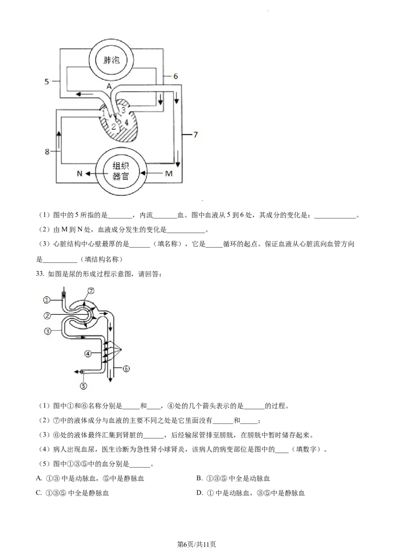 精品解析：北京市门头沟区2019-2020学年七年级下学期期末生物试题（原卷版）(1)_北京初中期末题_C605-京七八九_B京生物七八九_北京7下生物_2019-2020