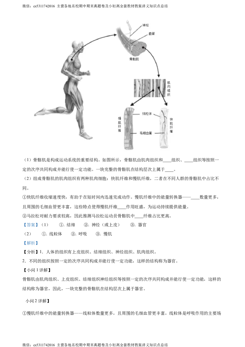 精品解析：北京市海淀区2023-2024学年七年级上学期期末生物试题（解析版）(1)_北京初中期末题_C605-京七八九_B京生物七八九_北京7上生物_2022-2024_北京生物7上期末