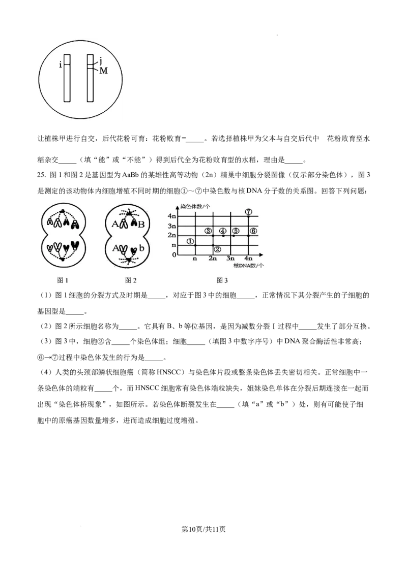 黑龙江省绥化市绥棱县第一中学2024-2025学年高三上学期10月月考生物试题_A1502026各地模拟卷（超值！）_10月_241022黑龙江省绥化市绥棱县第一中学2024-2025学年高三上学期10月月考