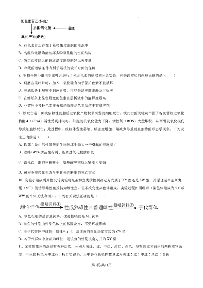 黑龙江省绥化市绥棱县第一中学2024-2025学年高三上学期10月月考生物试题_A1502026各地模拟卷（超值！）_10月_241022黑龙江省绥化市绥棱县第一中学2024-2025学年高三上学期10月月考