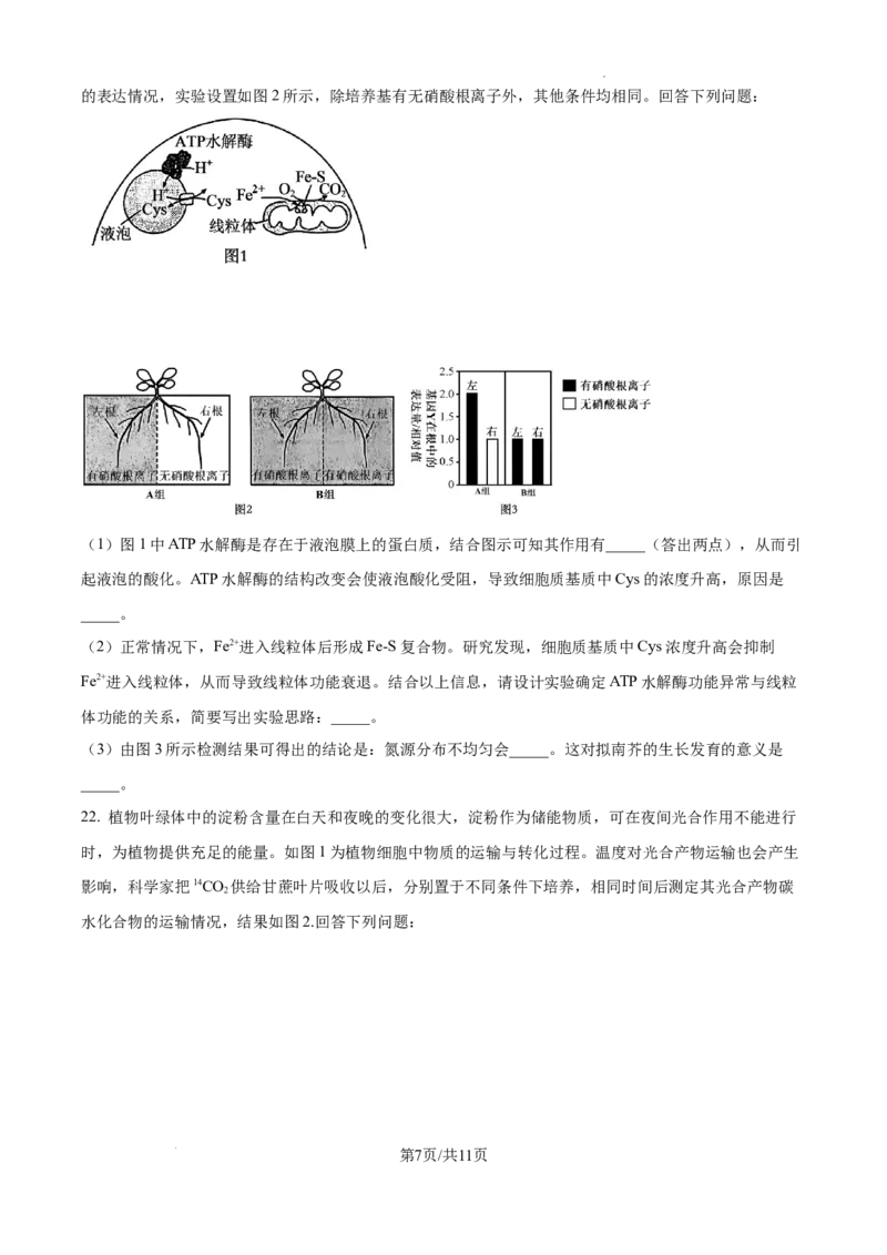黑龙江省绥化市绥棱县第一中学2024-2025学年高三上学期10月月考生物试题_A1502026各地模拟卷（超值！）_10月_241022黑龙江省绥化市绥棱县第一中学2024-2025学年高三上学期10月月考