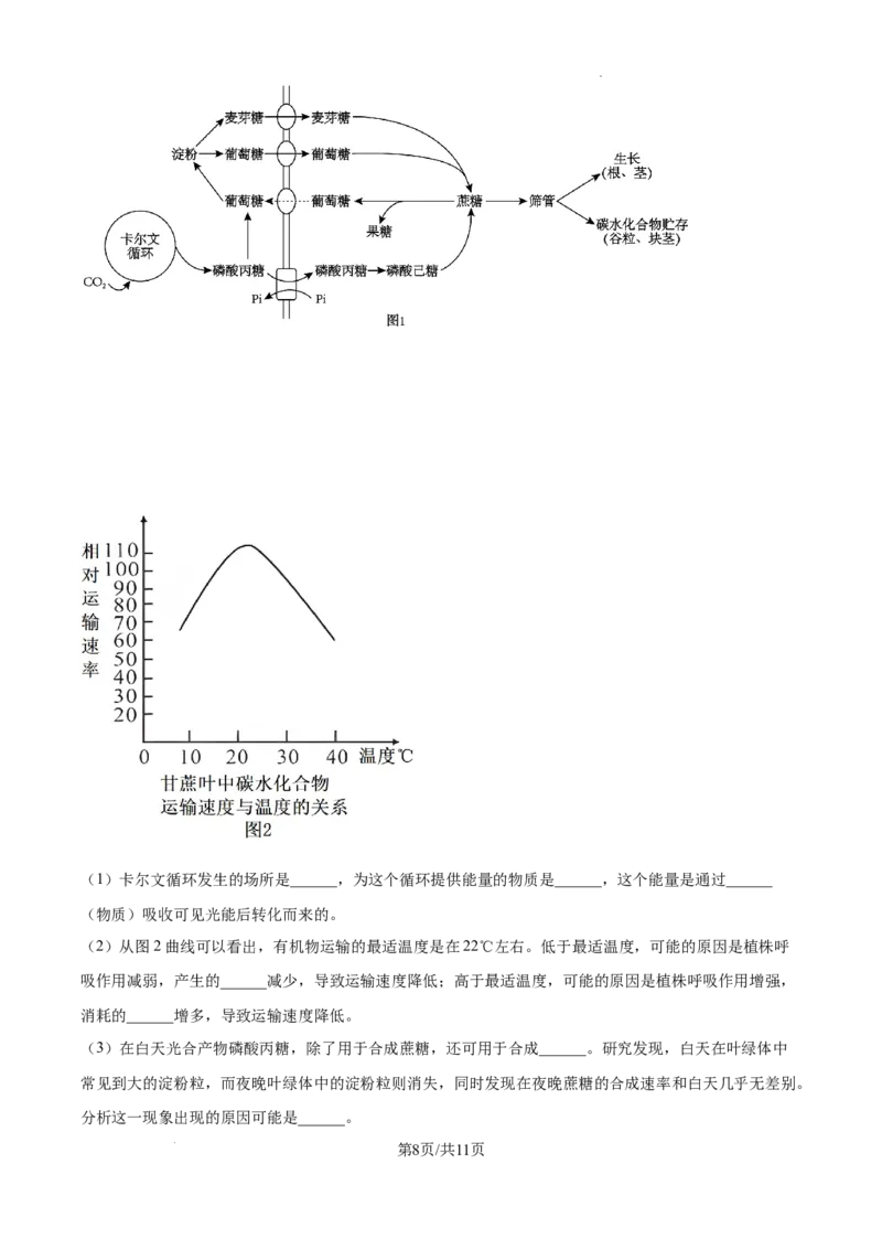 黑龙江省绥化市绥棱县第一中学2024-2025学年高三上学期10月月考生物试题_A1502026各地模拟卷（超值！）_10月_241022黑龙江省绥化市绥棱县第一中学2024-2025学年高三上学期10月月考