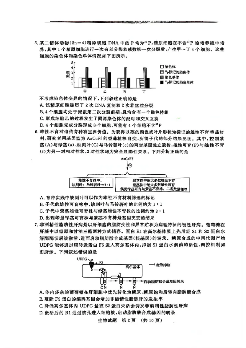 生物试题济南开学考_A1502026各地模拟卷（超值！）_9月_240913山东省济南市2024-2025学年高三上学期开学摸底考试