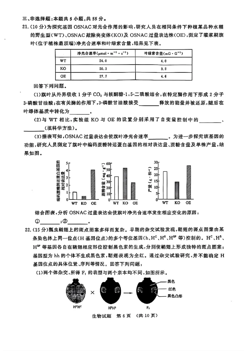 生物试题济南开学考_A1502026各地模拟卷（超值！）_9月_240913山东省济南市2024-2025学年高三上学期开学摸底考试