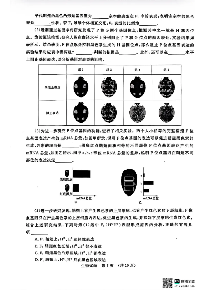 生物试题济南开学考_A1502026各地模拟卷（超值！）_9月_240913山东省济南市2024-2025学年高三上学期开学摸底考试