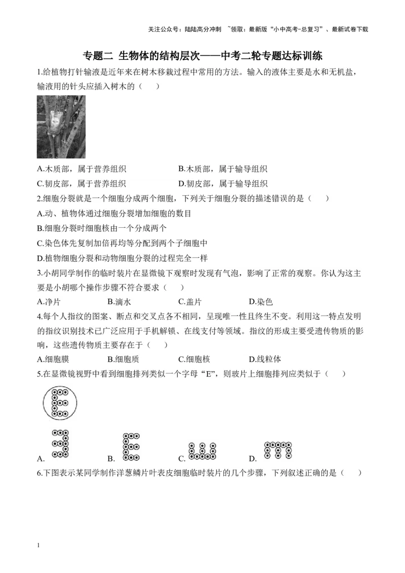 专题二生物体的结构层次&mdash;&mdash;2025年中考生物二轮专题达标训练（含解析）_02中考总复习（2026版更新中）_08-生物-中考总复习_2025中考复习资料_2025年中考生物二轮专题达标训练(含解析)