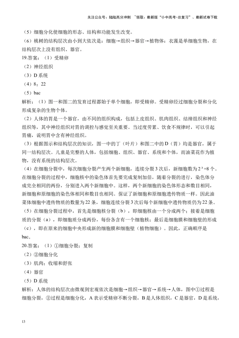 专题二生物体的结构层次&mdash;&mdash;2025年中考生物二轮专题达标训练（含解析）_02中考总复习（2026版更新中）_08-生物-中考总复习_2025中考复习资料_2025年中考生物二轮专题达标训练(含解析)