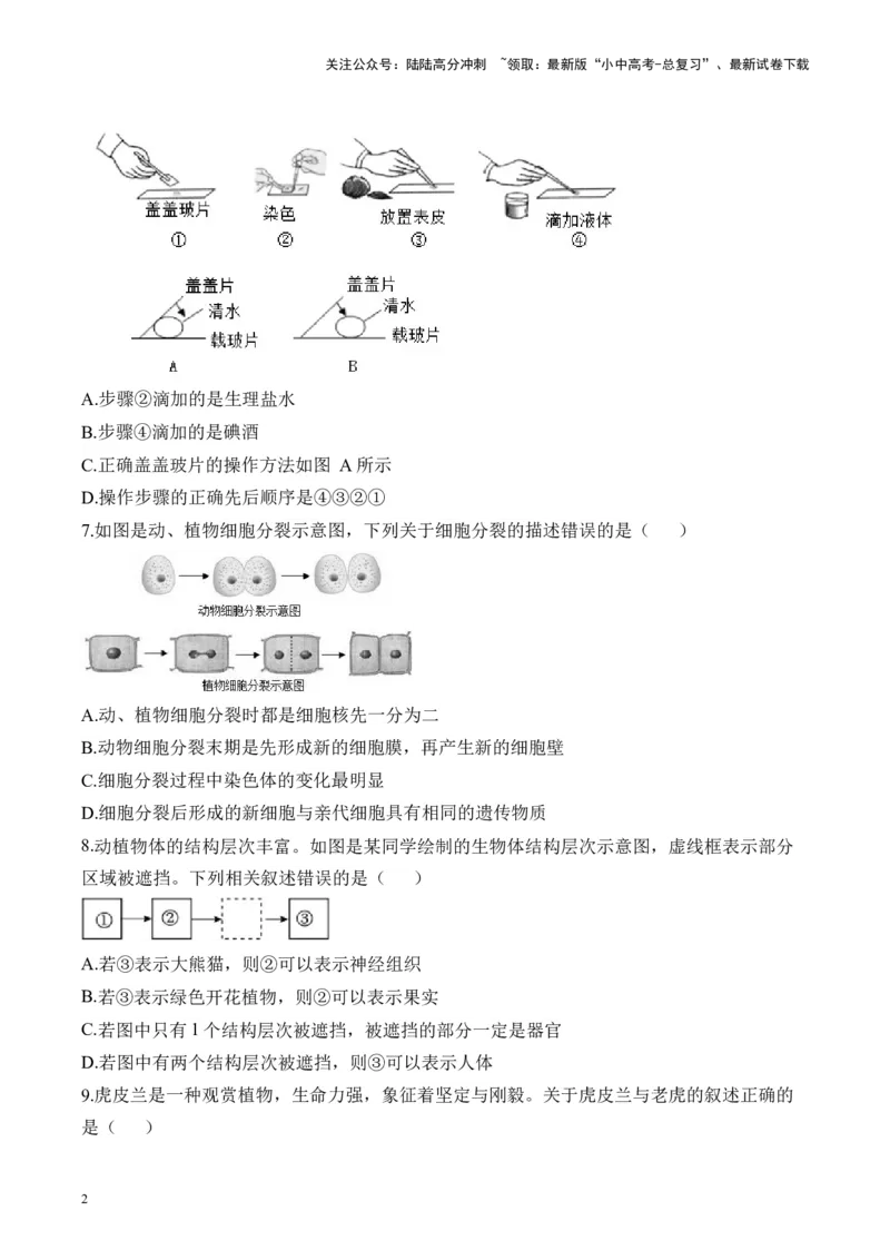 专题二生物体的结构层次&mdash;&mdash;2025年中考生物二轮专题达标训练（含解析）_02中考总复习（2026版更新中）_08-生物-中考总复习_2025中考复习资料_2025年中考生物二轮专题达标训练(含解析)