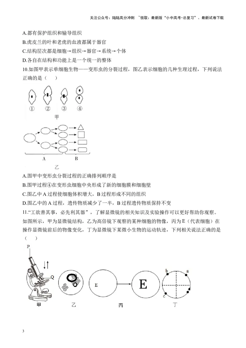 专题二生物体的结构层次&mdash;&mdash;2025年中考生物二轮专题达标训练（含解析）_02中考总复习（2026版更新中）_08-生物-中考总复习_2025中考复习资料_2025年中考生物二轮专题达标训练(含解析)