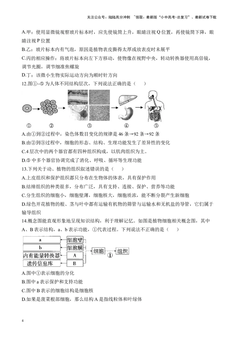 专题二生物体的结构层次&mdash;&mdash;2025年中考生物二轮专题达标训练（含解析）_02中考总复习（2026版更新中）_08-生物-中考总复习_2025中考复习资料_2025年中考生物二轮专题达标训练(含解析)