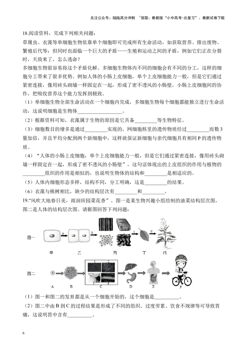 专题二生物体的结构层次&mdash;&mdash;2025年中考生物二轮专题达标训练（含解析）_02中考总复习（2026版更新中）_08-生物-中考总复习_2025中考复习资料_2025年中考生物二轮专题达标训练(含解析)