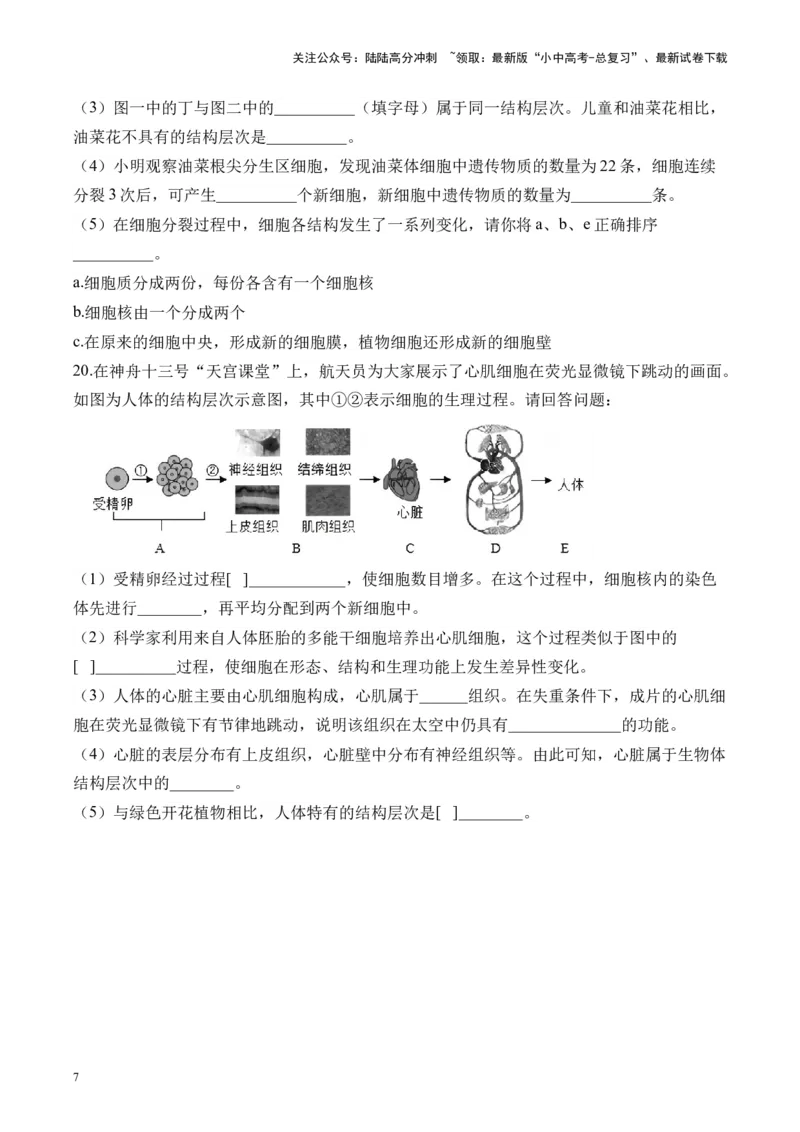 专题二生物体的结构层次&mdash;&mdash;2025年中考生物二轮专题达标训练（含解析）_02中考总复习（2026版更新中）_08-生物-中考总复习_2025中考复习资料_2025年中考生物二轮专题达标训练(含解析)