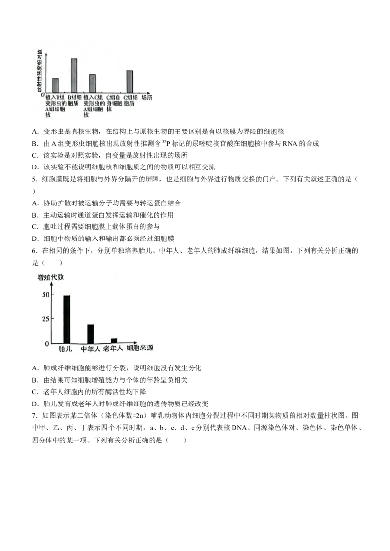 辽宁省沈阳市郊联体2024-2025学年高三上学期9月开学联考试题生物Word版含解析_A1502026各地模拟卷（超值！）_9月_240909辽宁省沈阳市郊联体2024-2025学年高三上学期9月开学联考