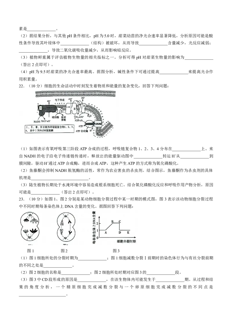 辽宁省沈阳市郊联体2024-2025学年高三上学期9月开学联考试题生物Word版含解析_A1502026各地模拟卷（超值！）_9月_240909辽宁省沈阳市郊联体2024-2025学年高三上学期9月开学联考