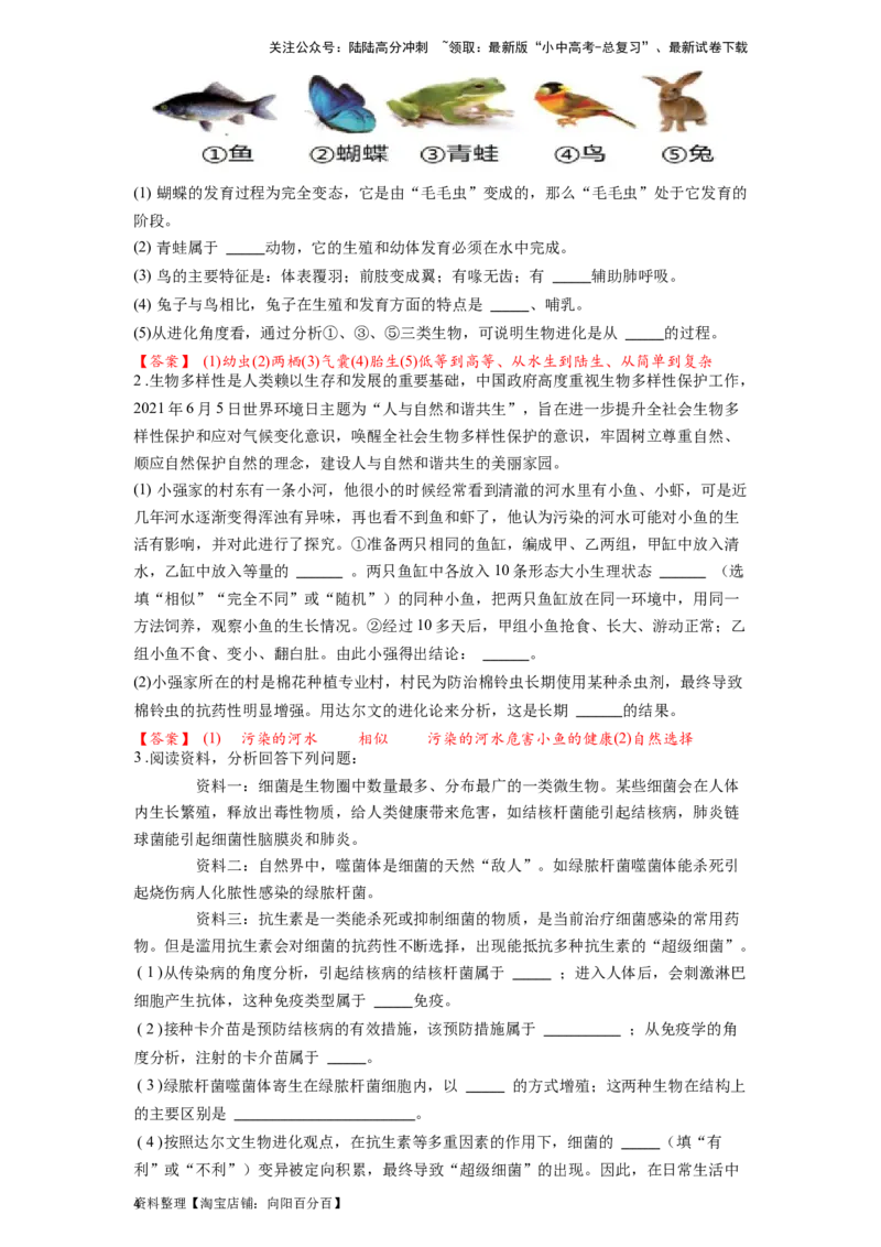 专题24生物的进化（解析版）_02中考总复习（2026版更新中）_08-生物-中考总复习_2024年中考复习资料_一轮复习_配套练习_教师版（含答案解析）