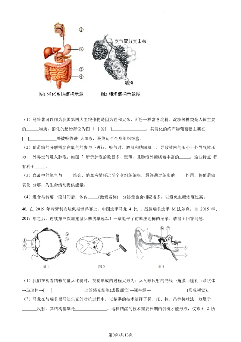 精品解析：北京市海淀区首都师范大学第二附属中学2019-2020学年七年级下学期期末生物试题（原卷版）(1)_北京初中期末题_C605-京七八九_B京生物七八九_北京7下生物_2019-2020