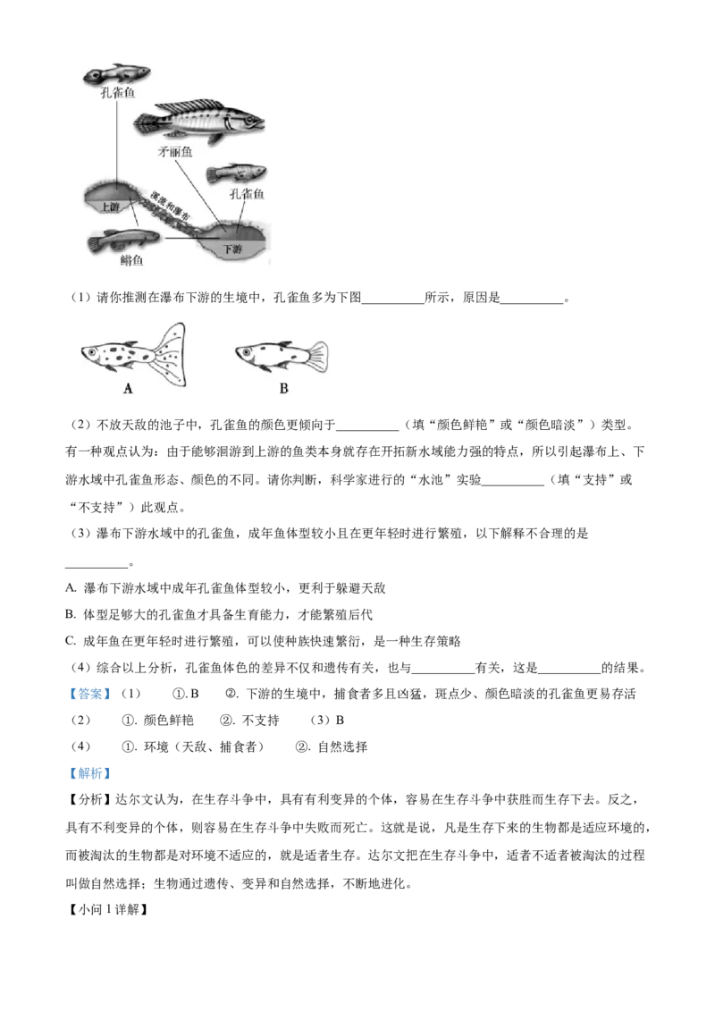 精品解析：北京市朝阳区2022-2023学年八年级上学期期末检测生物试题（选用）（解析版）(1)_北京初中期末题_C605-京七八九_B京生物七八九_北京八上生物_2022-2023