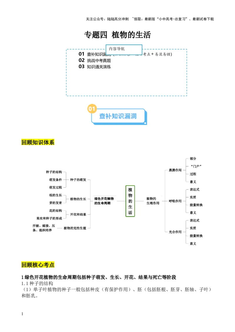 专题四植物的生活（解析版）_02中考总复习（2026版更新中）_08-生物-中考总复习_2024年中考复习资料_三轮复习_查漏补缺2024年中考生物复习冲刺过关（全国通用）_查补知识&middot;通关练