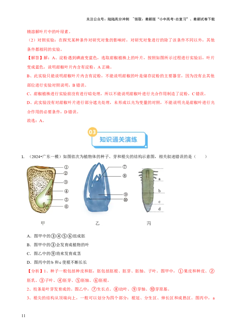 专题四植物的生活（解析版）_02中考总复习（2026版更新中）_08-生物-中考总复习_2024年中考复习资料_三轮复习_查漏补缺2024年中考生物复习冲刺过关（全国通用）_查补知识&middot;通关练