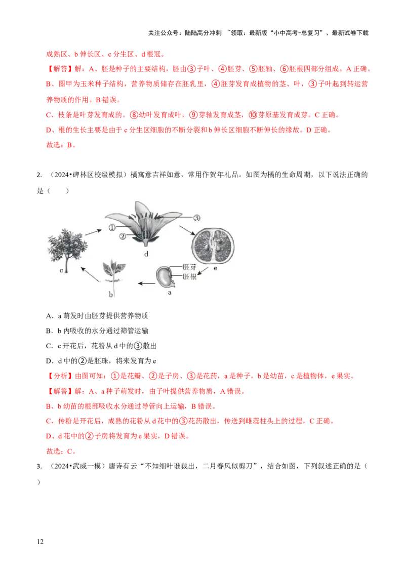 专题四植物的生活（解析版）_02中考总复习（2026版更新中）_08-生物-中考总复习_2024年中考复习资料_三轮复习_查漏补缺2024年中考生物复习冲刺过关（全国通用）_查补知识&middot;通关练