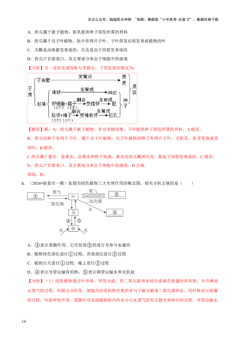 专题四植物的生活（解析版）_02中考总复习（2026版更新中）_08-生物-中考总复习_2024年中考复习资料_三轮复习_查漏补缺2024年中考生物复习冲刺过关（全国通用）_查补知识&middot;通关练