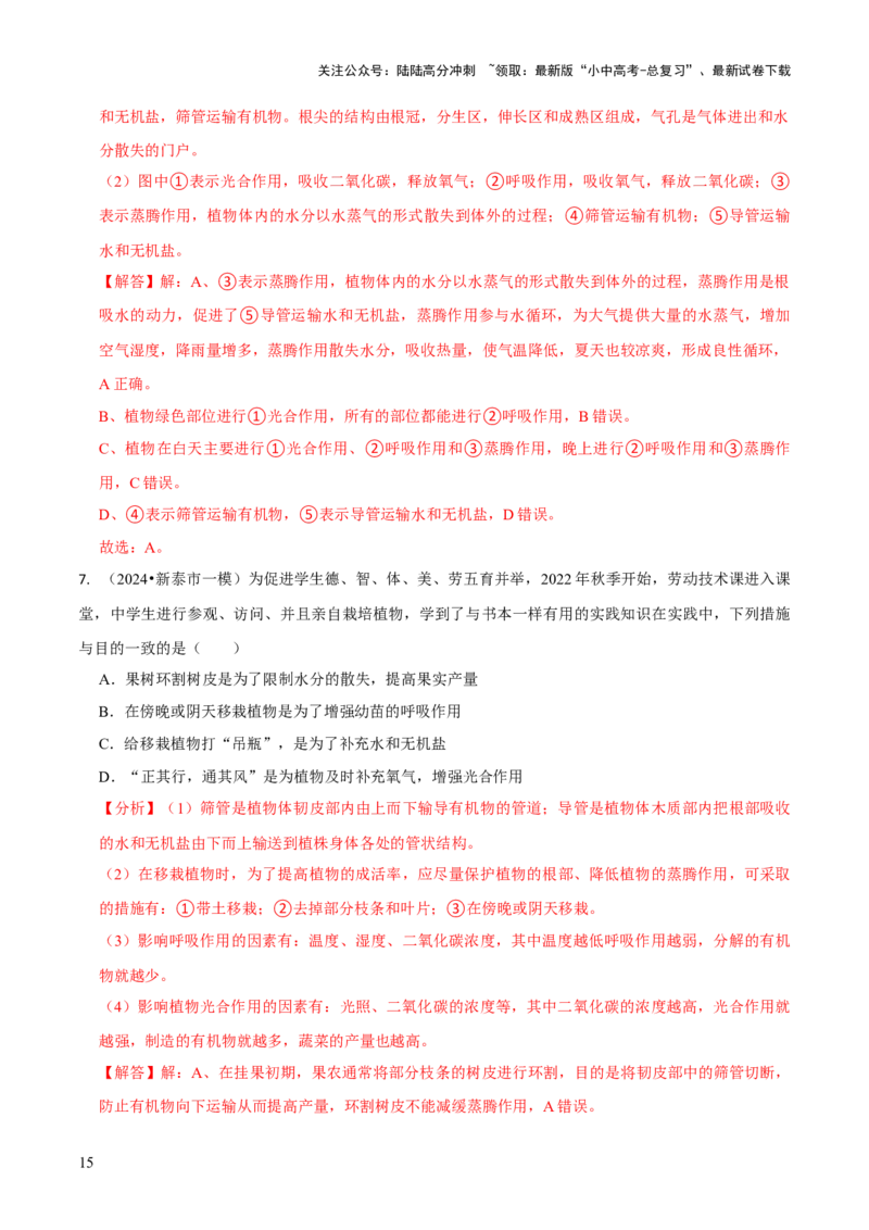 专题四植物的生活（解析版）_02中考总复习（2026版更新中）_08-生物-中考总复习_2024年中考复习资料_三轮复习_查漏补缺2024年中考生物复习冲刺过关（全国通用）_查补知识&middot;通关练