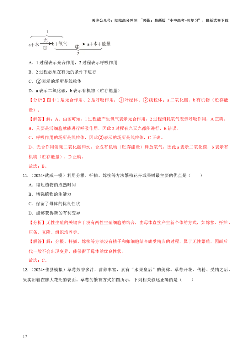 专题四植物的生活（解析版）_02中考总复习（2026版更新中）_08-生物-中考总复习_2024年中考复习资料_三轮复习_查漏补缺2024年中考生物复习冲刺过关（全国通用）_查补知识&middot;通关练