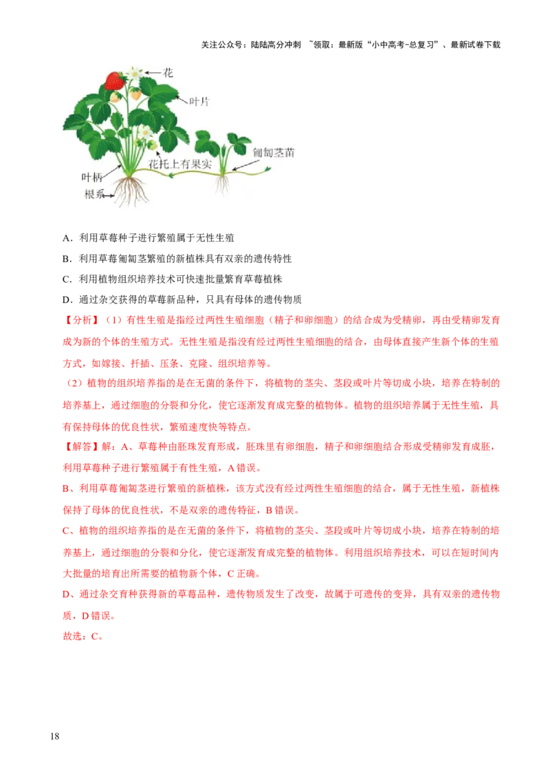 专题四植物的生活（解析版）_02中考总复习（2026版更新中）_08-生物-中考总复习_2024年中考复习资料_三轮复习_查漏补缺2024年中考生物复习冲刺过关（全国通用）_查补知识&middot;通关练