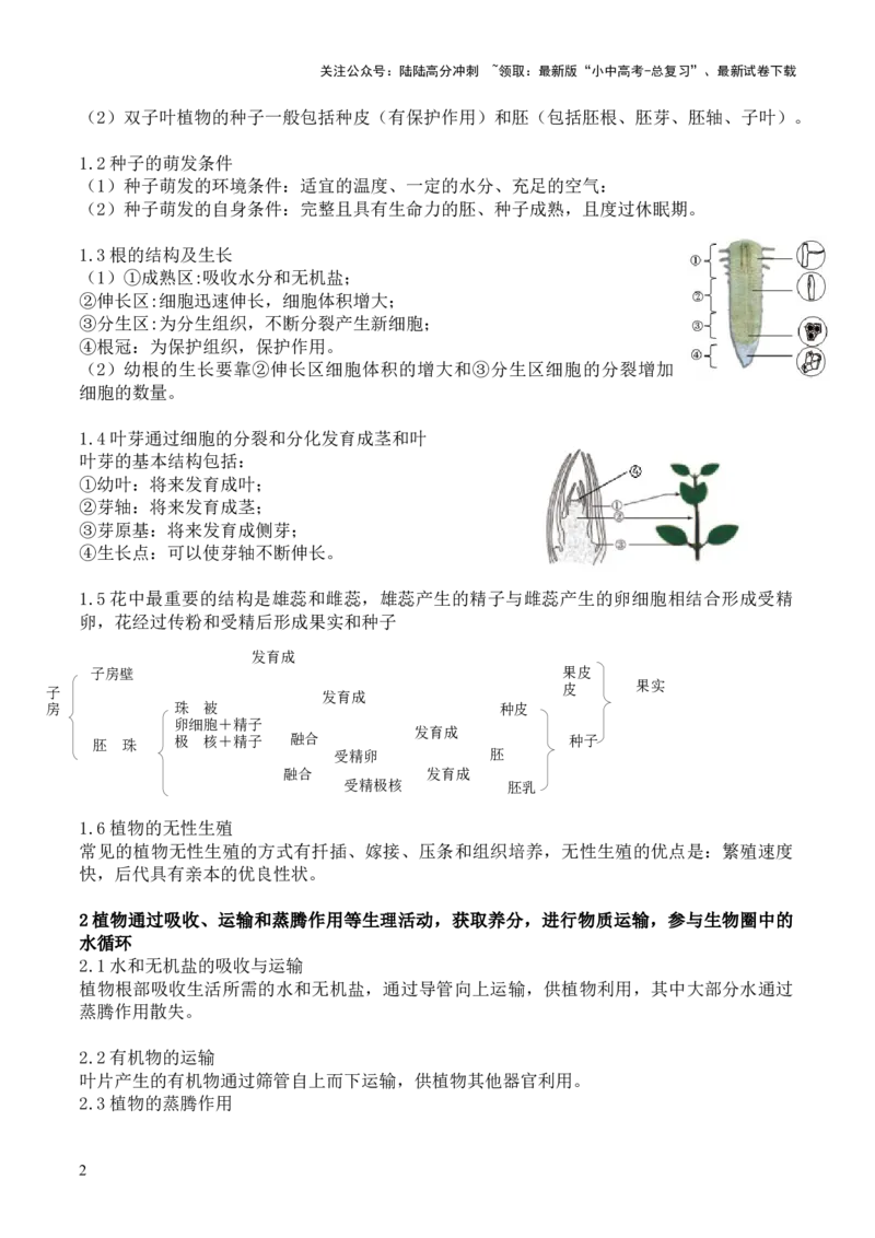 专题四植物的生活（解析版）_02中考总复习（2026版更新中）_08-生物-中考总复习_2024年中考复习资料_三轮复习_查漏补缺2024年中考生物复习冲刺过关（全国通用）_查补知识&middot;通关练