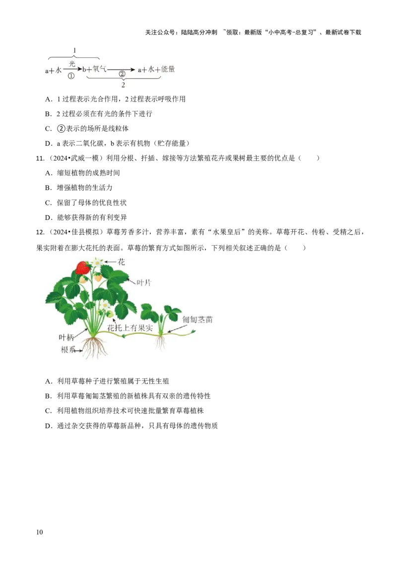 专题四植物的生活（原卷版）_02中考总复习（2026版更新中）_08-生物-中考总复习_2024年中考复习资料_三轮复习_查漏补缺2024年中考生物复习冲刺过关（全国通用）_查补知识&middot;通关练