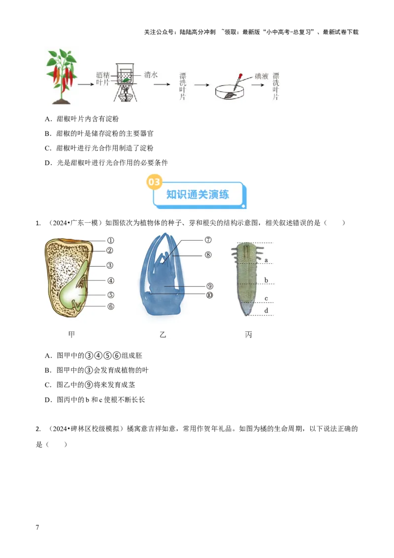 专题四植物的生活（原卷版）_02中考总复习（2026版更新中）_08-生物-中考总复习_2024年中考复习资料_三轮复习_查漏补缺2024年中考生物复习冲刺过关（全国通用）_查补知识&middot;通关练