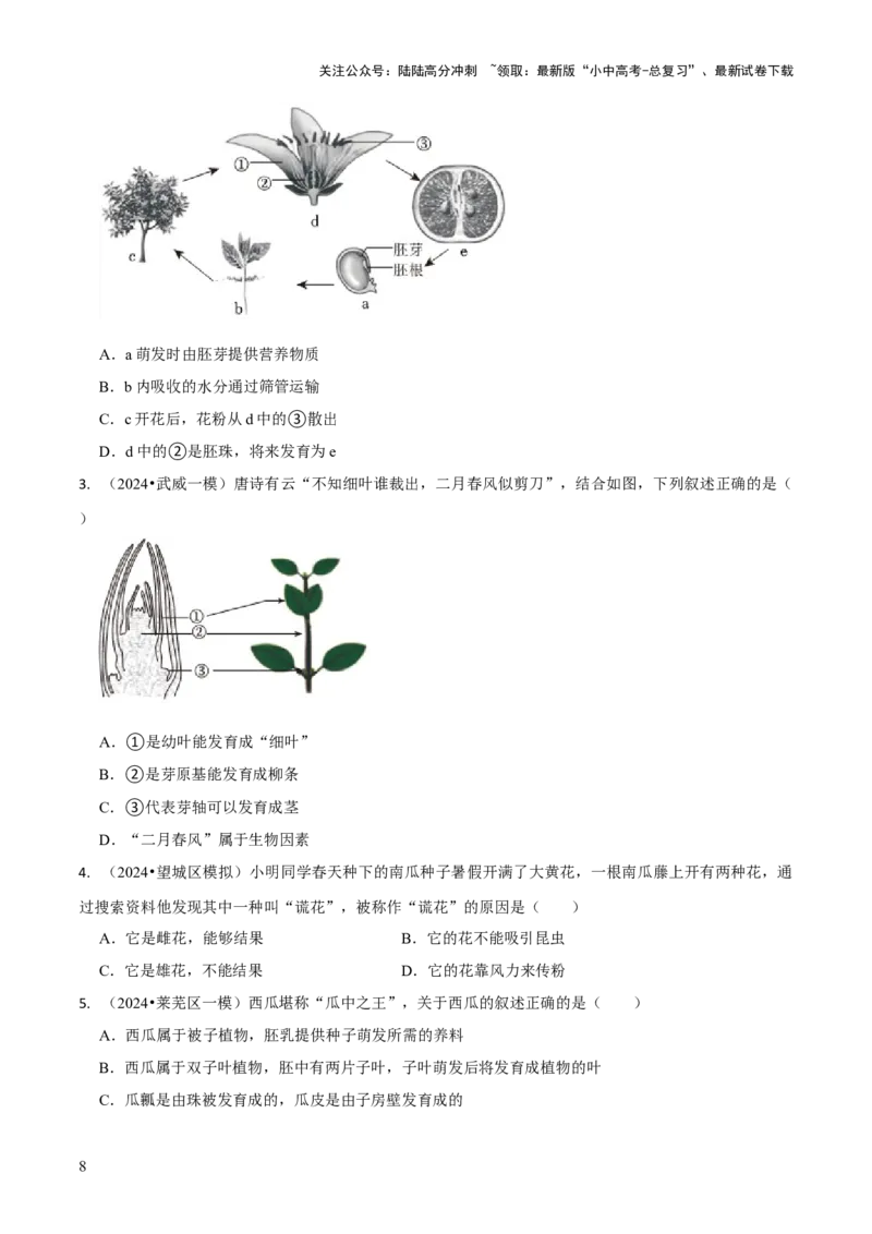 专题四植物的生活（原卷版）_02中考总复习（2026版更新中）_08-生物-中考总复习_2024年中考复习资料_三轮复习_查漏补缺2024年中考生物复习冲刺过关（全国通用）_查补知识&middot;通关练