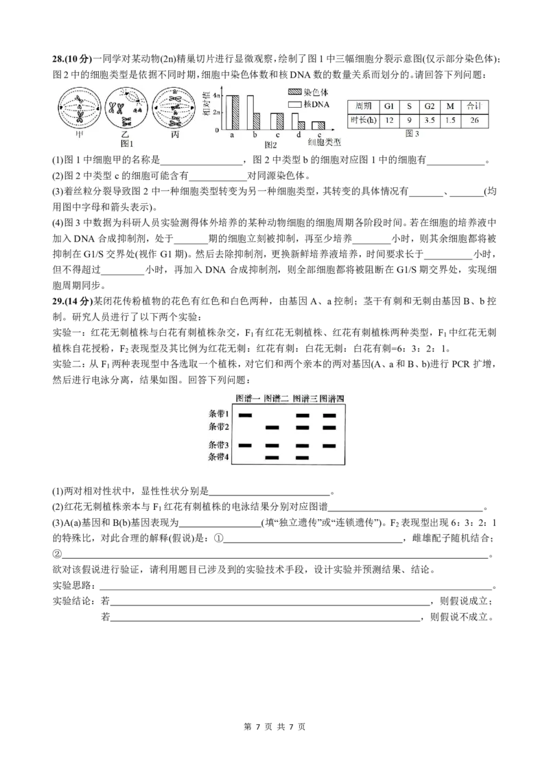 生物试题_A1502026各地模拟卷（超值！）_6月_240627四川省绵阳市南山中学2023-2024学年高二下学期期末热身_四川省绵阳市南山中学2023-2024学年高二下学期期末热身生物试题PDF版含答案