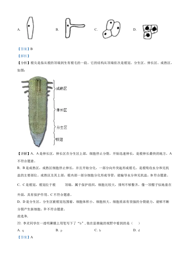 精品解析：北京市第二中学教育集团2022-2023学年七年级上学期期末生物试题（解析版）(1)_北京初中期末题_C605-京七八九_B京生物七八九_北京7上生物_2022-2024_北京生物7上期末