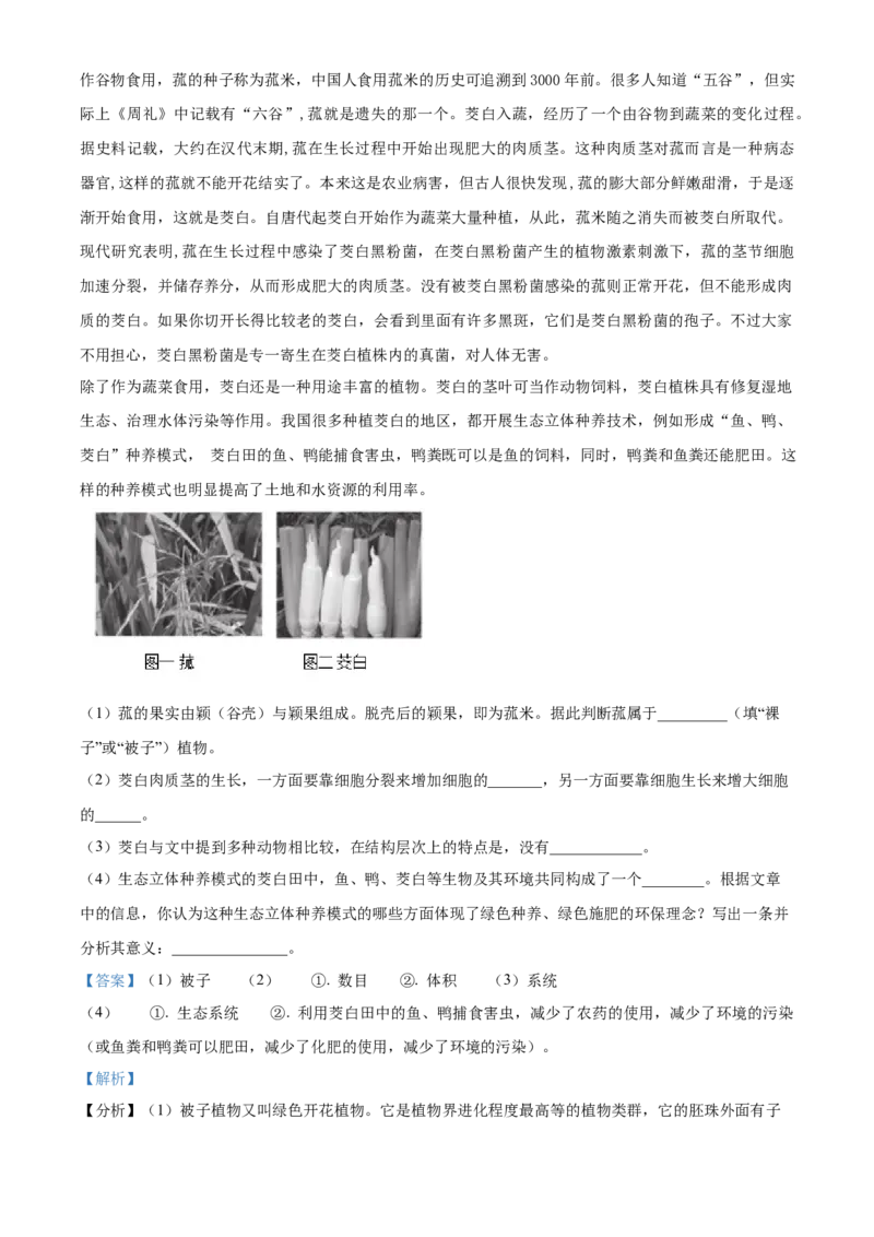 精品解析：北京市第二中学教育集团2022-2023学年七年级上学期期末生物试题（解析版）(1)_北京初中期末题_C605-京七八九_B京生物七八九_北京7上生物_2022-2024_北京生物7上期末