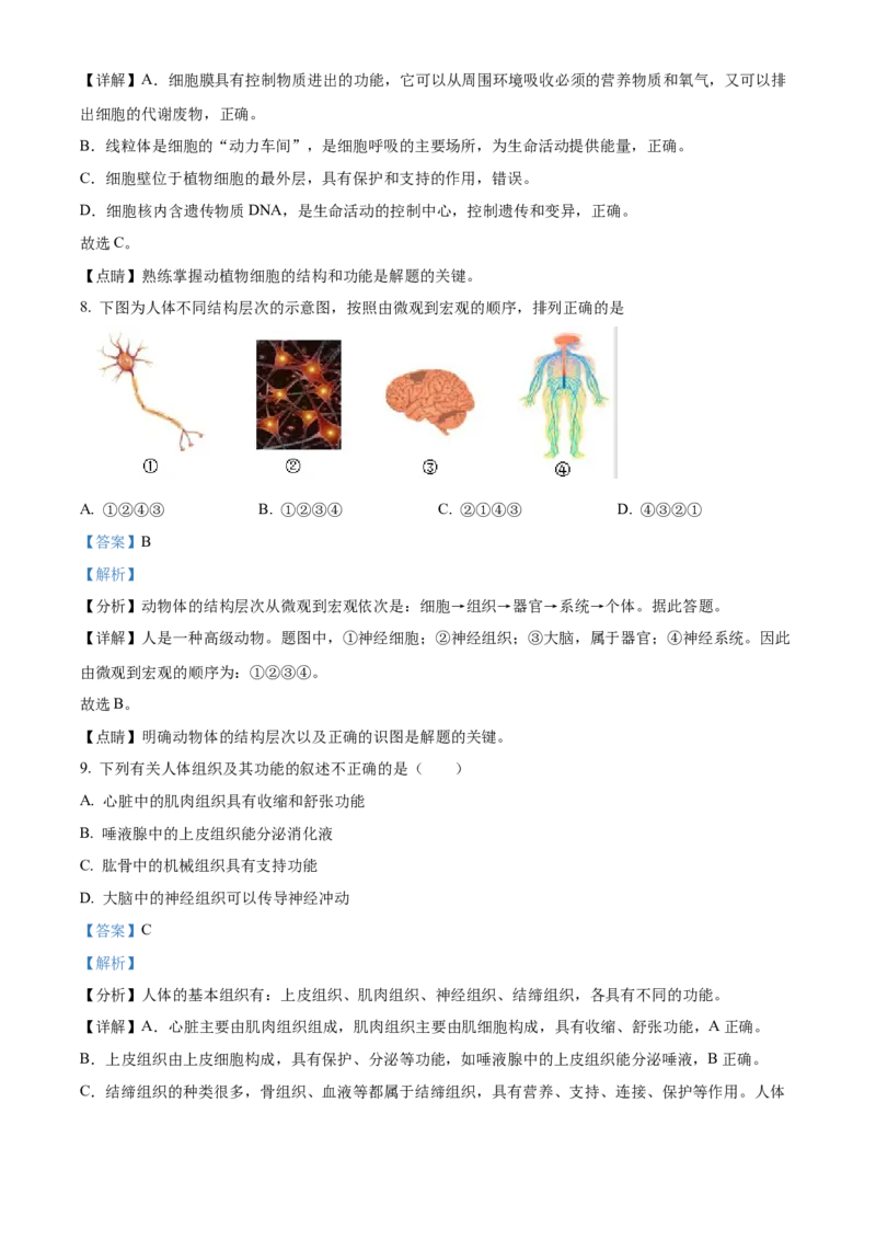 精品解析：北京市第二中学教育集团2022-2023学年七年级上学期期末生物试题（解析版）(1)_北京初中期末题_C605-京七八九_B京生物七八九_北京7上生物_2022-2024_北京生物7上期末