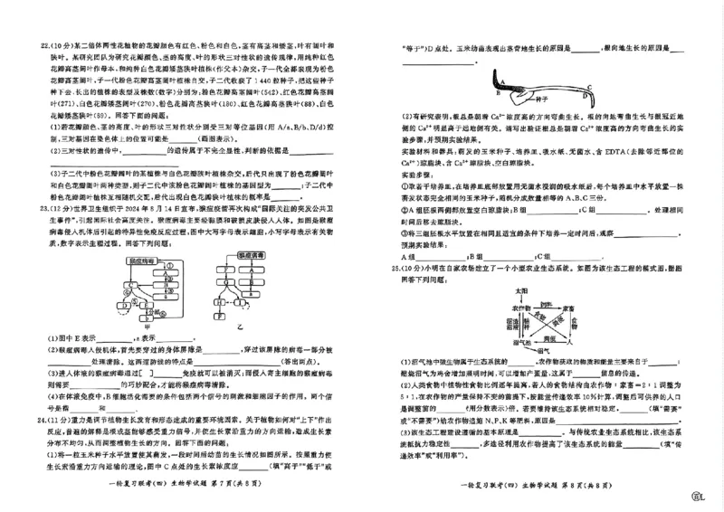 百师联盟2025届高三一轮复习联考（四）生物（百L）_A1502026各地模拟卷（超值！）_12月_241229百师联盟2025届高三一轮复习联考（四）（全科）