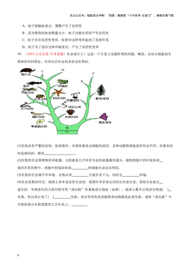 专题22生命起源和生物进化（原卷版）_02中考总复习（2026版更新中）_08-生物-中考总复习_2024年中考复习资料_一轮复习_❤备战2024年中考生物一轮复习考点帮（全国通用）_练习