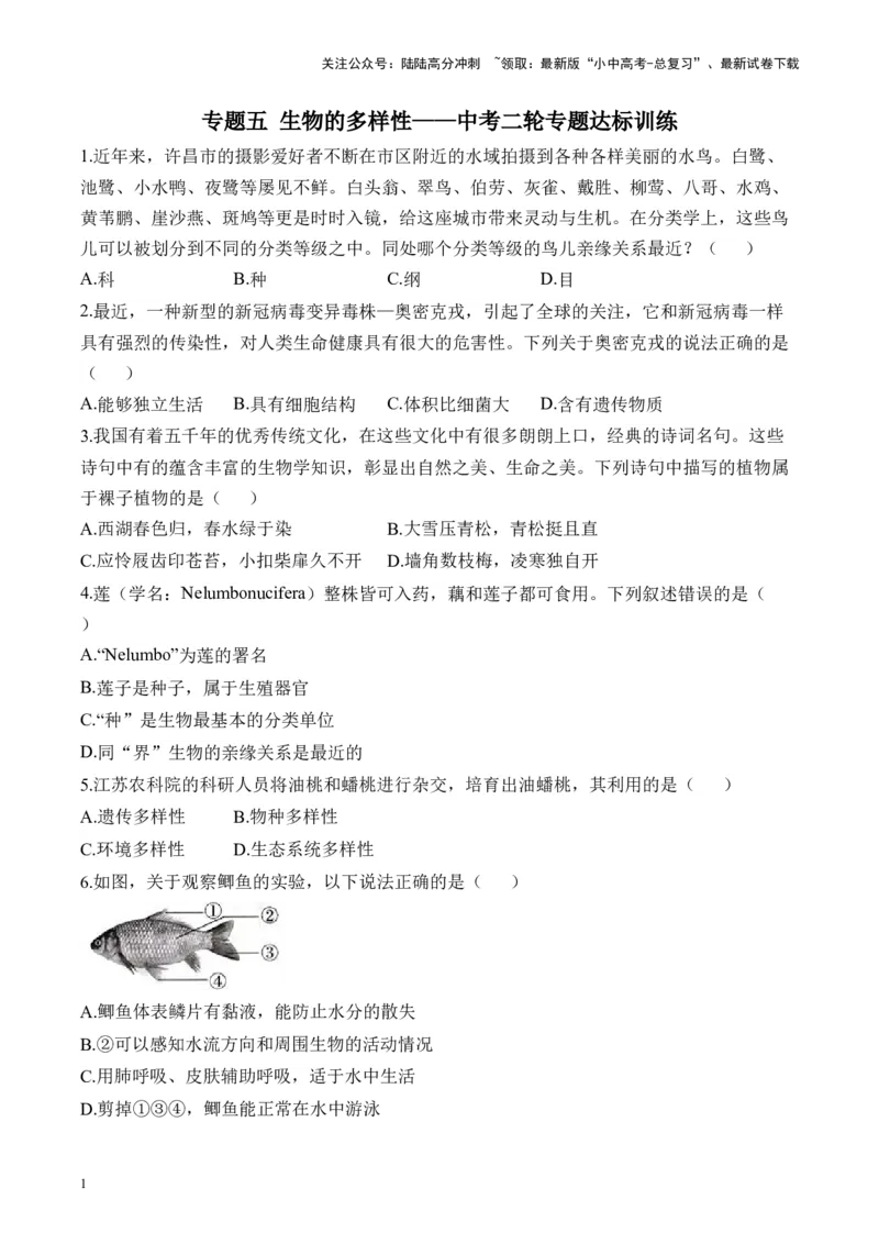 专题五生物的多样性&mdash;&mdash;2025年中考生物二轮专题达标训练（含解析）_02中考总复习（2026版更新中）_08-生物-中考总复习_2025中考复习资料_2025年中考生物二轮专题达标训练(含解析)