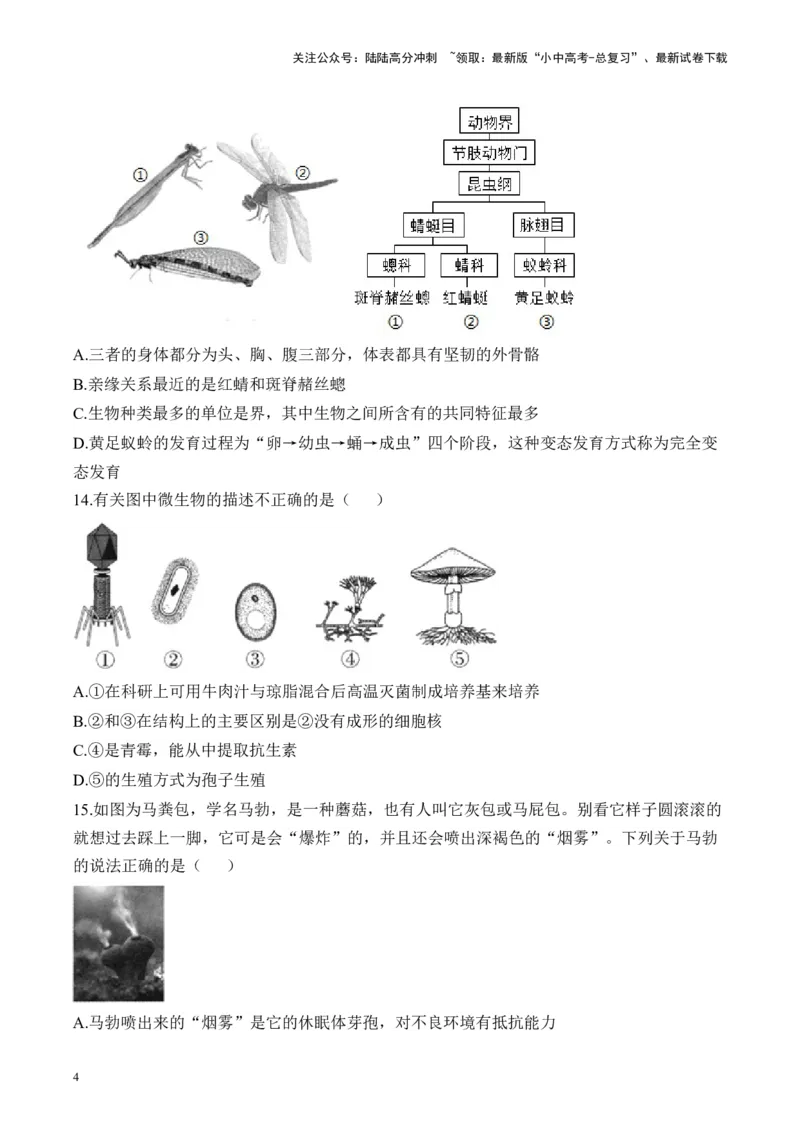专题五生物的多样性&mdash;&mdash;2025年中考生物二轮专题达标训练（含解析）_02中考总复习（2026版更新中）_08-生物-中考总复习_2025中考复习资料_2025年中考生物二轮专题达标训练(含解析)