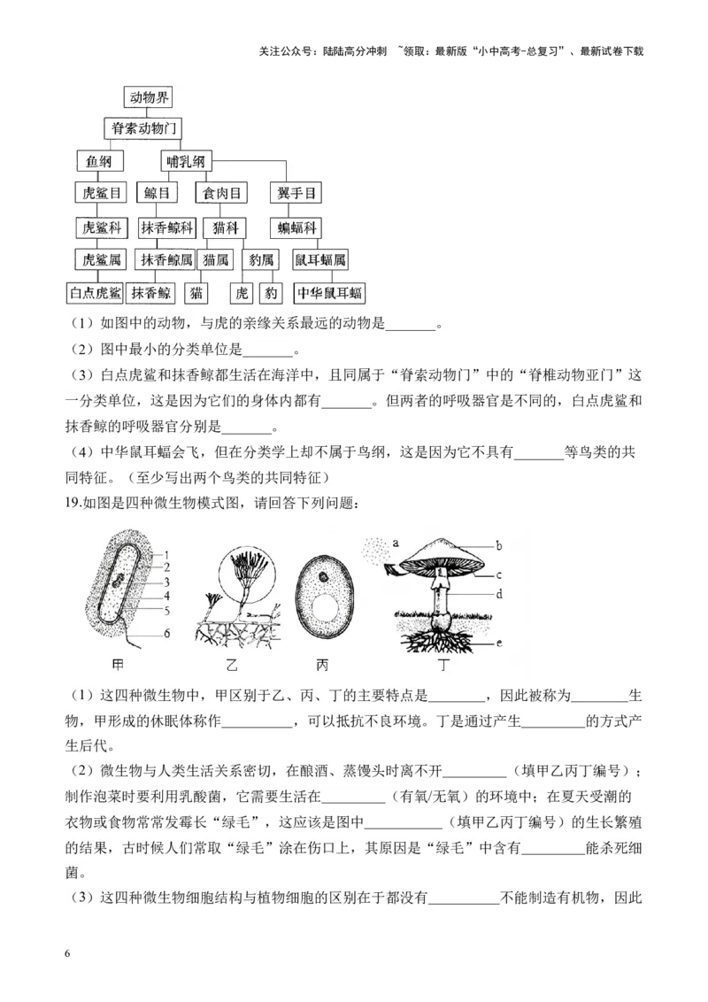 专题五生物的多样性&mdash;&mdash;2025年中考生物二轮专题达标训练（含解析）_02中考总复习（2026版更新中）_08-生物-中考总复习_2025中考复习资料_2025年中考生物二轮专题达标训练(含解析)