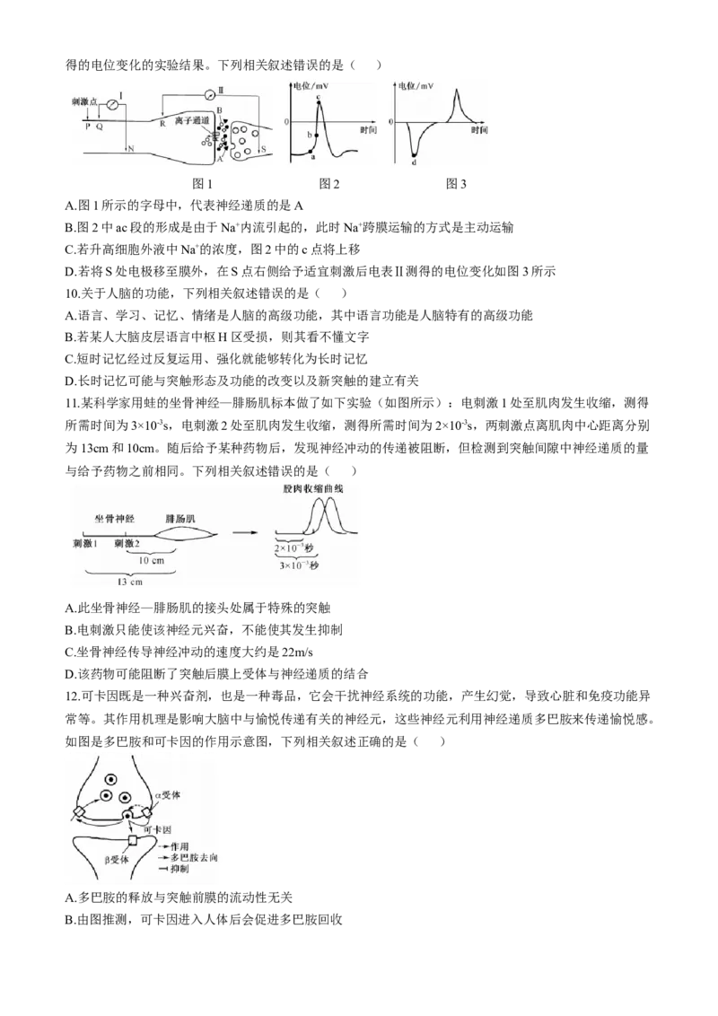 湖北省宜昌市协作体2024-2025学年高二上学期期中考试生物试题_A1502026各地模拟卷（超值！）_11月_241109湖北省宜昌市协作体2024-2025学年高二上学期期中考试
