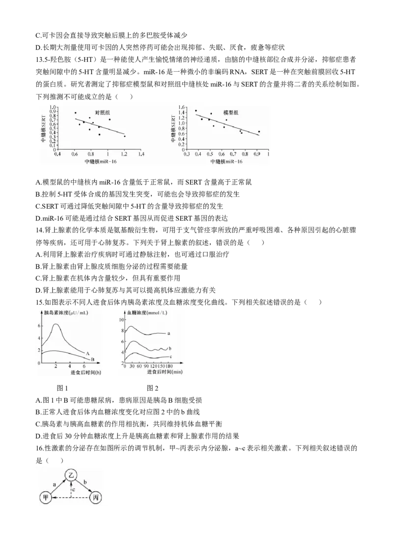 湖北省宜昌市协作体2024-2025学年高二上学期期中考试生物试题_A1502026各地模拟卷（超值！）_11月_241109湖北省宜昌市协作体2024-2025学年高二上学期期中考试