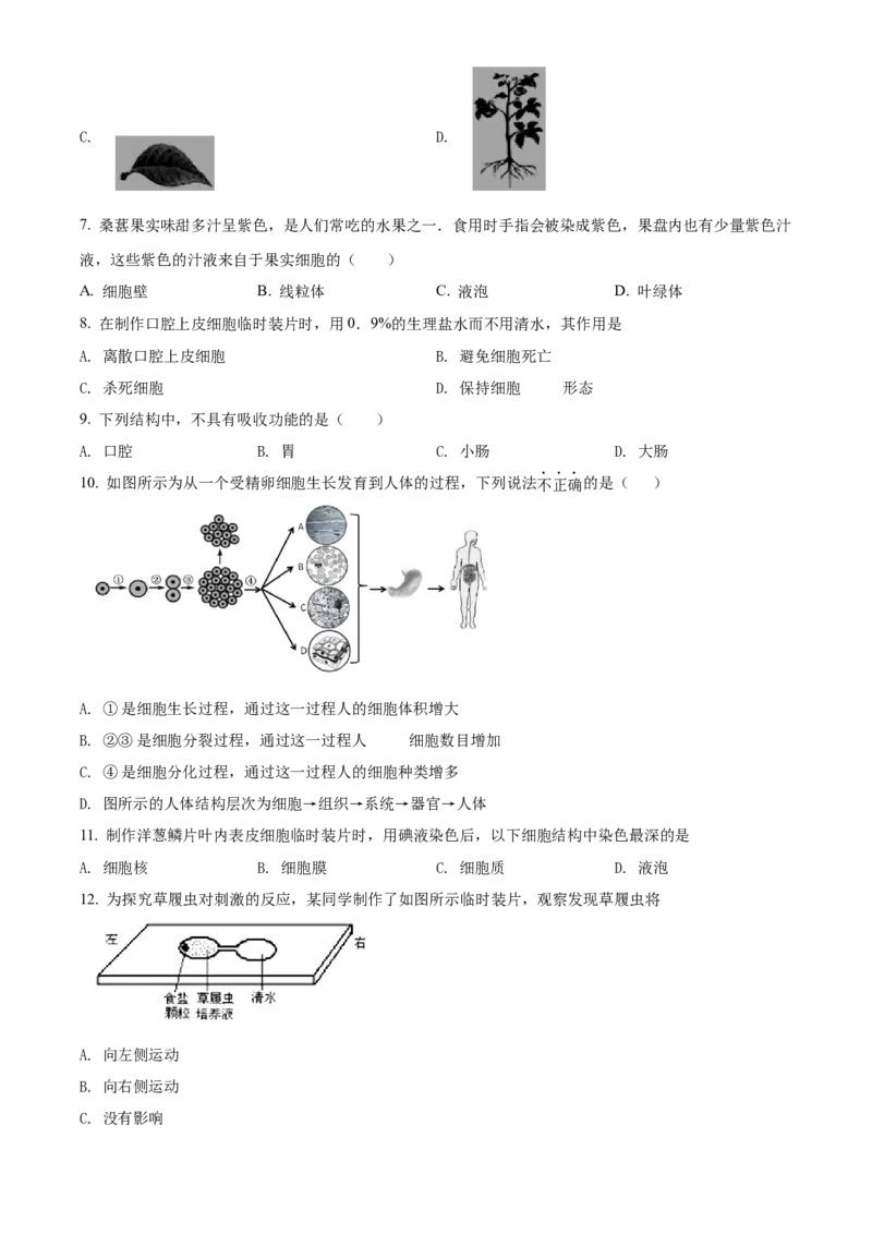 精品解析：北京市门头沟区2021-2022学年七年级上学期期末生物试题（原卷版）(1)_北京初中期末题_C605-京七八九_B京生物七八九_北京7上生物_2021-2022