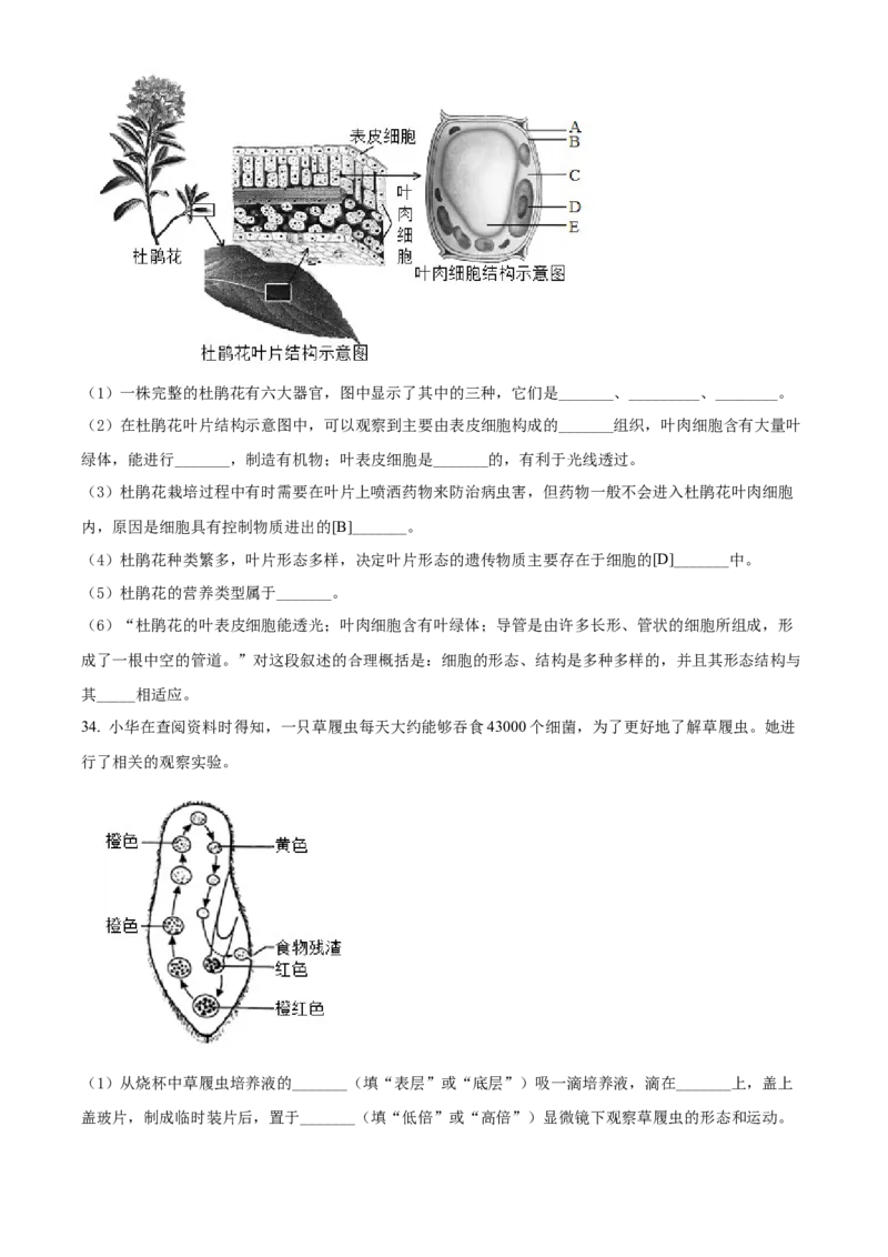 精品解析：北京市门头沟区2021-2022学年七年级上学期期末生物试题（原卷版）(1)_北京初中期末题_C605-京七八九_B京生物七八九_北京7上生物_2021-2022