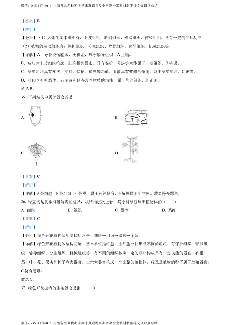 精品解析：北京市顺义区杨镇第二中学2023-2024学年七年级上学期期中生物试题（解析版）(1)_北京初中期末题_C605-京七八九_B京生物七八九_北京7上生物_2022-2024_北京生物7上期中