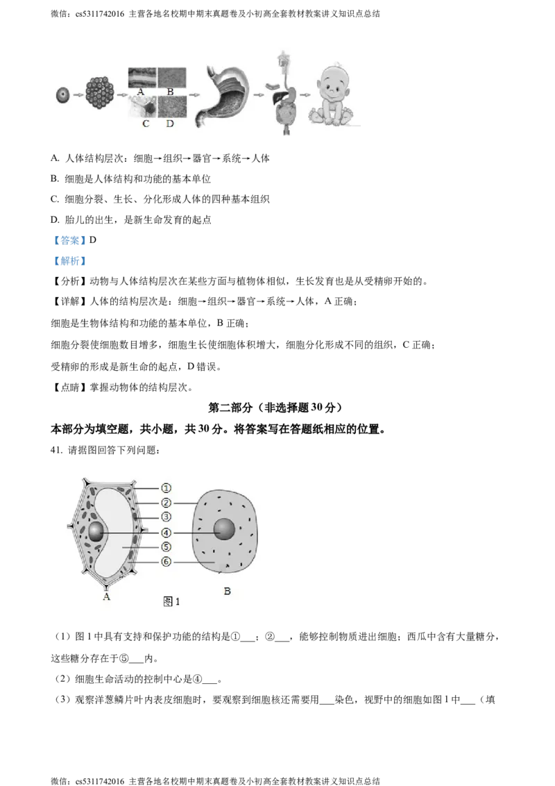 精品解析：北京市顺义区杨镇第二中学2023-2024学年七年级上学期期中生物试题（解析版）(1)_北京初中期末题_C605-京七八九_B京生物七八九_北京7上生物_2022-2024_北京生物7上期中
