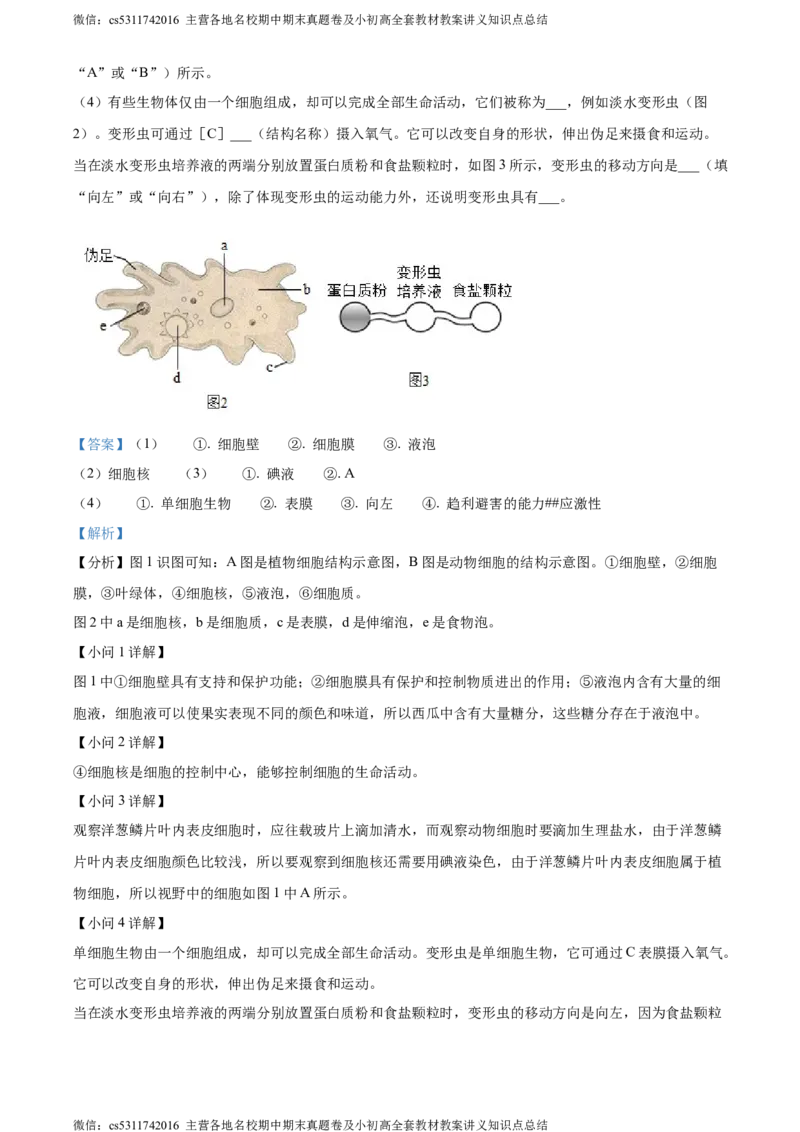 精品解析：北京市顺义区杨镇第二中学2023-2024学年七年级上学期期中生物试题（解析版）(1)_北京初中期末题_C605-京七八九_B京生物七八九_北京7上生物_2022-2024_北京生物7上期中