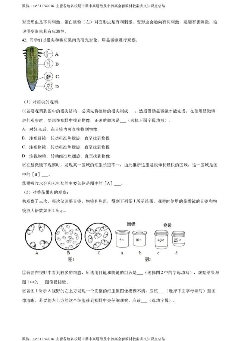 精品解析：北京市顺义区杨镇第二中学2023-2024学年七年级上学期期中生物试题（解析版）(1)_北京初中期末题_C605-京七八九_B京生物七八九_北京7上生物_2022-2024_北京生物7上期中