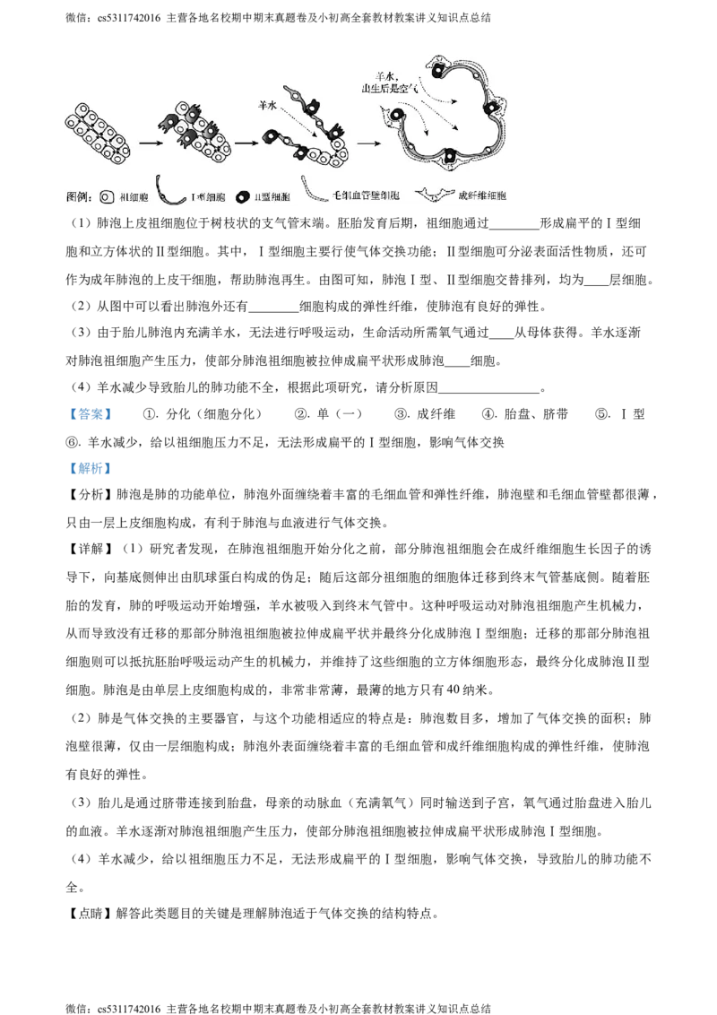 精品解析：北京市第二中学教育集团2022-2023学年七年级下学期期中生物试题（解析版）(1)_北京初中期末题_C605-京七八九_B京生物七八九_北京7下生物_2022-2024_北京生物7下期中